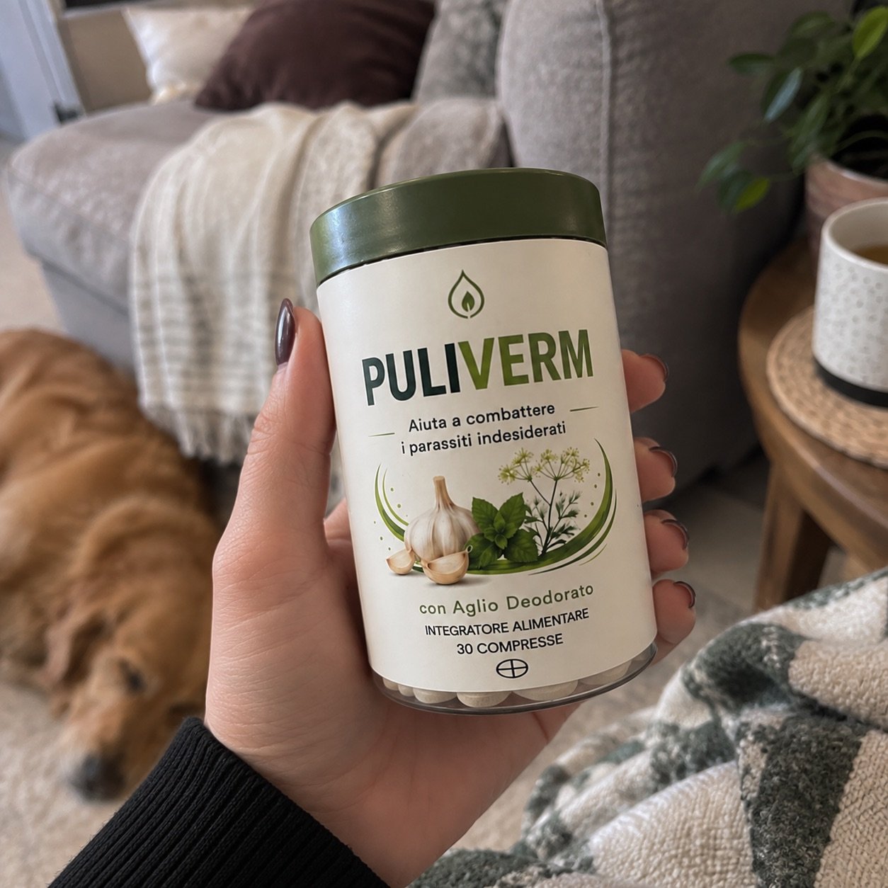 Puliverm tenuto in mano